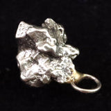 カンポ・デル・シエロ隕石 ペンダントトップ 4.6g (ID:74654)