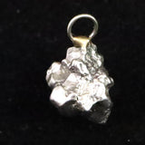 カンポ・デル・シエロ隕石 ペンダントトップ 4.6g (ID:74654)