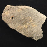 縄文土器 縄文中期 東北・北海道地域  135mm陶片   96.2g  (ID:75591)