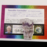 H&E社 サウラライトアゼツライト  (AZOZEO) アメジスト共生 タンブル 証明書付 12.7g (ID:75853)