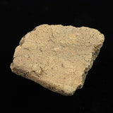 縄文土器 縄文中期 東北・北海道地域  52mm陶片  42.6g  (ID:76054)