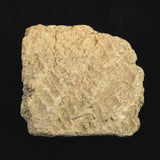 縄文土器 縄文中期 東北・北海道地域  52mm陶片  42.6g  (ID:76054)