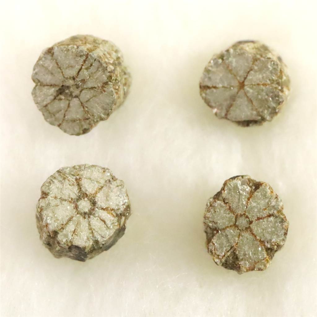 近畿中国地方産鉱物 | 榎本通商