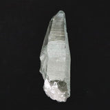 ガネーシュヒマール産 ヒマラヤ水晶  147mm原石 クローライト付 328g (ID:78434)
