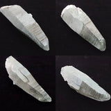 ガネーシュヒマール産 ヒマラヤ水晶  147mm原石 クローライト付 328g (ID:78434)