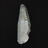 ガネーシュヒマール産 ヒマラヤ水晶  147mm原石 クローライト付 328g (ID:78434)