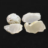 島根県大津島産　玉髄　カルセドニー 原石4個セット 85.5g (ID:79165)
