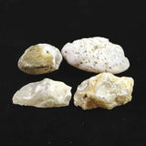 島根県大津島産　玉髄　カルセドニー 原石4個セット 85.5g (ID:79165)