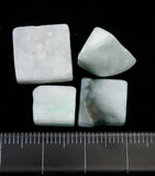 糸魚川翡翠 薄緑 タンブル 4個セット　ディレクトリカード付 6.1g (ID:79224)