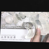レムリアンシード AA 30mm勾玉 保証書付 8.04g (ID:79736)