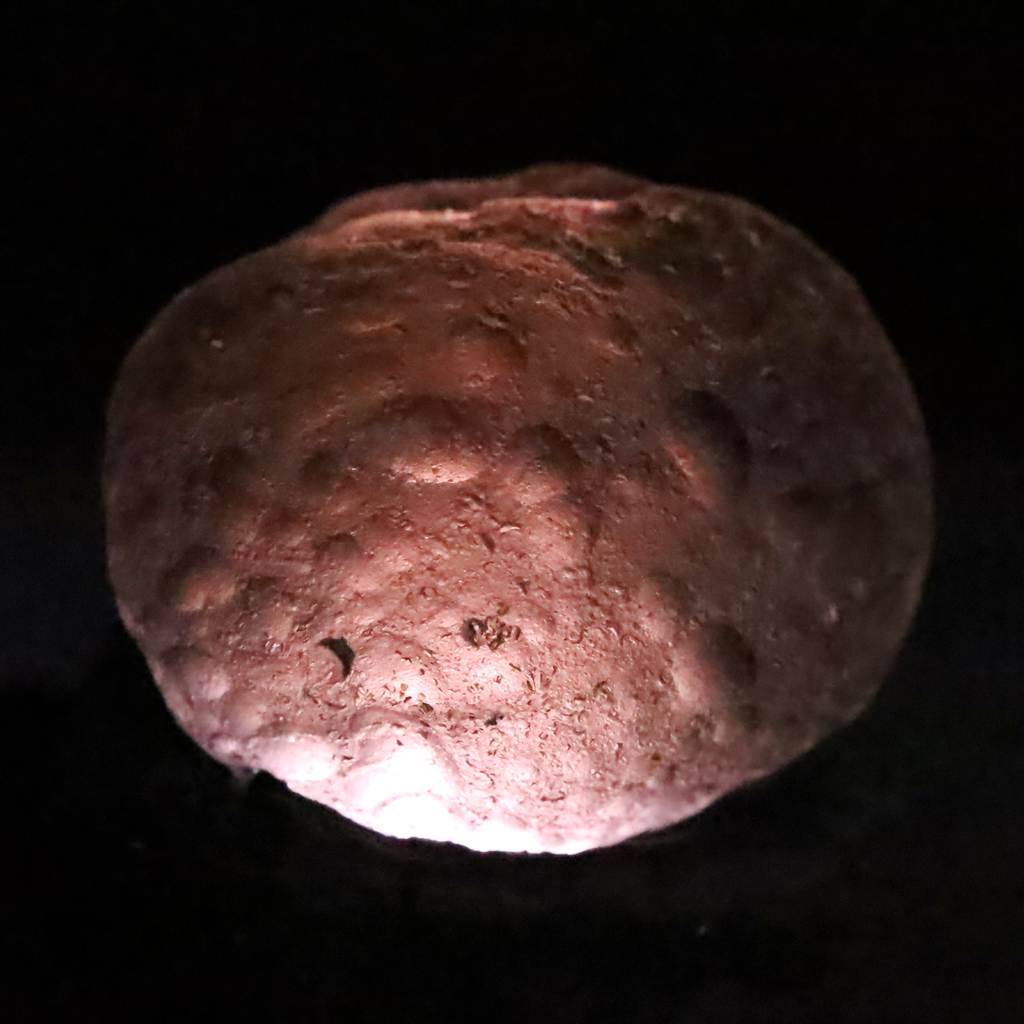 コロンビアナイト 原石 14.69g (ID:80315) | 榎本通商