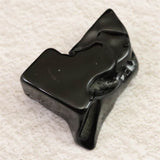 隠岐の島 黒曜石 原石 磨き ディレクトリーカード付 15.9g (ID:80899)