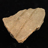 縄文土器 縄文中期 東北・北海道地域  46mm陶片  11.8g  (ID:81804)