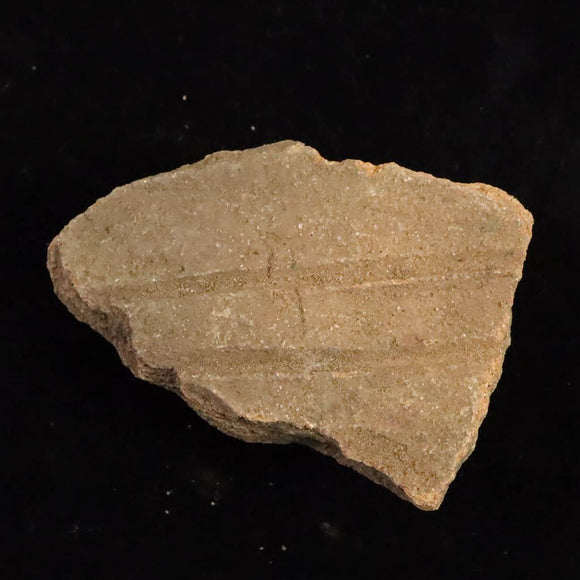 縄文土器 縄文中期 東北・北海道地域  46mm陶片  11.8g  (ID:81804)