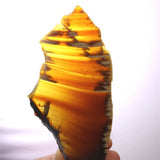 天然琥珀　スマトラ アンバー 180mm 原石スライス  90.3g (ID:83023)
