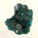 コンゴ産 ダイオプテーズ AA 翠銅鉱　原石 7.6g (ID:83154)