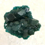 コンゴ産 ダイオプテーズ AA 翠銅鉱　原石 7.6g (ID:83154)