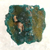 コンゴ産 ダイオプテーズ AA 翠銅鉱　原石 7.6g (ID:83154)