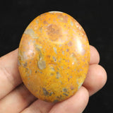 バンブルビージャスパー 49mmオーバルポリッシュ 40.4g (ID:83274)