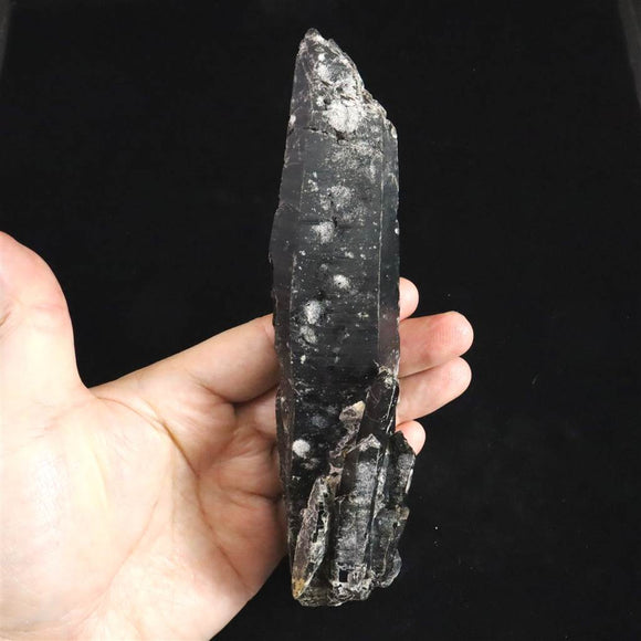 内モンゴル産　黒水晶 モリオン　155mm ポイント原石　ペネトレーター  276g (ID:85279)