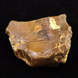 北海道幌加内町　ペトリファイドウッド 珪化木  101mm原石 376.5g  (ID:85582)