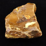 北海道幌加内町　ペトリファイドウッド 珪化木  101mm原石 376.5g  (ID:85582)