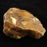 北海道幌加内町　ペトリファイドウッド 珪化木  101mm原石 376.5g  (ID:85582)