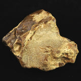 北海道幌加内町　ペトリファイドウッド 珪化木  101mm原石 376.5g  (ID:85582)