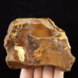 北海道幌加内町　ペトリファイドウッド 珪化木  101mm原石 376.5g  (ID:85582)