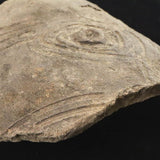 縄文土器 縄文中期 東北・北海道地域  148mm陶片  257g  (ID:85797)