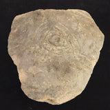 縄文土器 縄文中期 東北・北海道地域  148mm陶片  257g  (ID:85797)