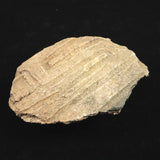 縄文土器 縄文中期 東北・北海道地域  110mm陶片   111.4g  (ID:86134)