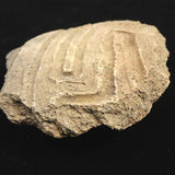 縄文土器 縄文中期 東北・北海道地域  110mm陶片   111.4g  (ID:86134)