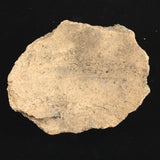 縄文土器 縄文中期 東北・北海道地域  110mm陶片   111.4g  (ID:86134)