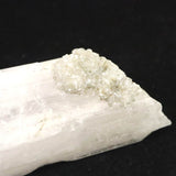 メキシコ産 ダンビュライト AA 54mm原石 ドゥルージークォーツ共生 25.5g (ID:86142)