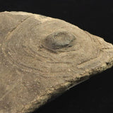 縄文土器 縄文中期 東北・北海道地域  103mm陶片   90.4g  (ID:86173)