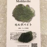 モルダバイト AAA 23mm原石 ディレクトリカード付 3.74ｇ  (ID:87505)