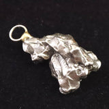 カンポ・デル・シエロ隕石 ペンダントトップ 4.9g (ID:87781)