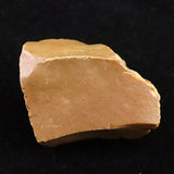 北海道幌加内町　ペトリファイドウッド 珪化木  45mm原石 73.6g  (ID:88179)