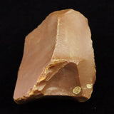 北海道幌加内町　ペトリファイドウッド 珪化木  45mm原石 73.6g  (ID:88179)