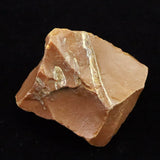 北海道幌加内町　ペトリファイドウッド 珪化木  45mm原石 73.6g  (ID:88179)