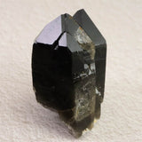 岐阜県中津川市蛭川産 黒水晶（モリオン）原石 ツイン カテドラル レコードキーパー 123.89g (ID:88761)