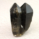 岐阜県中津川市蛭川産 黒水晶（モリオン）原石 ツイン カテドラル レコードキーパー 123.89g (ID:88761)