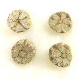 京都府亀岡市産　小紋桜石 4個セット 現品 1.13g (ID:89096)