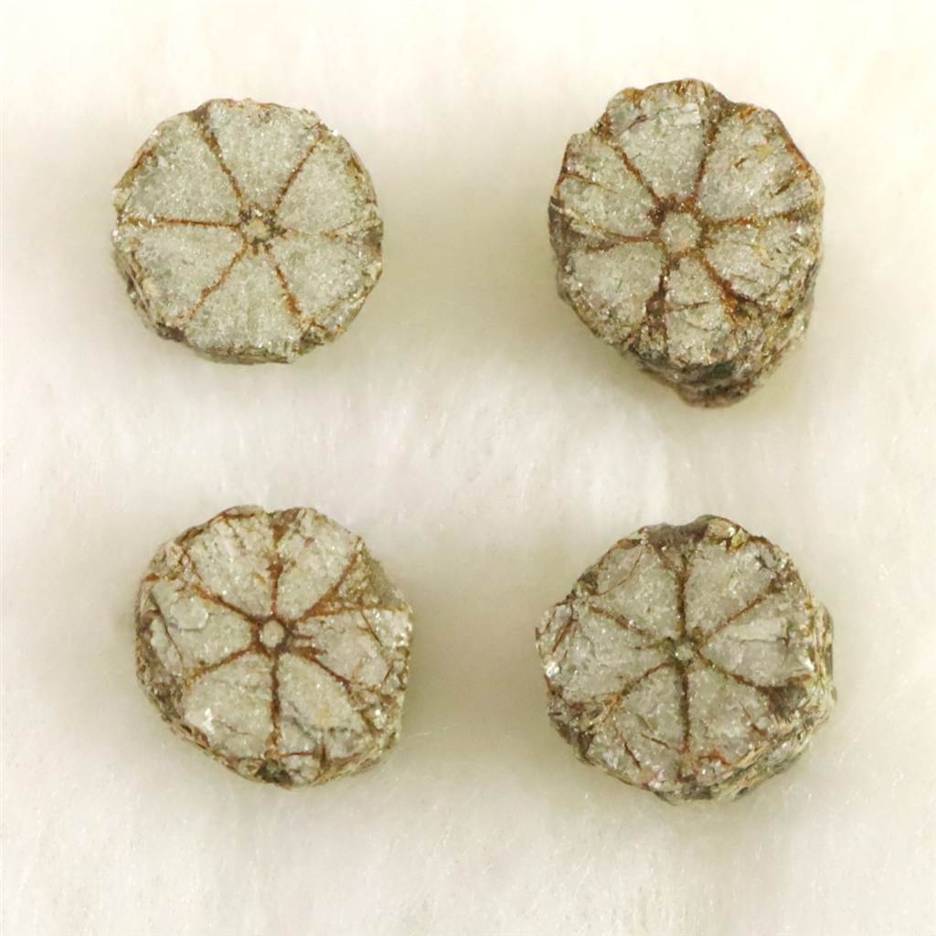 近畿中国地方産鉱物 | 榎本通商