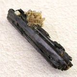 マラウィ　ゾンバ産  63mmエジリン輝石  18.9g (ID:91358)