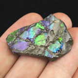 アンモライト アンモナイト化石　スライス　原石　7.4ｇ (ID:92234)