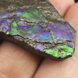 アンモライト アンモナイト化石　スライス　原石　7.4ｇ (ID:92234)