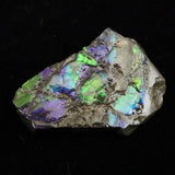 アンモライト アンモナイト化石　スライス　原石　7.4ｇ (ID:92234)