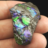 アンモライト アンモナイト化石　スライス　原石　7.4ｇ (ID:92234)